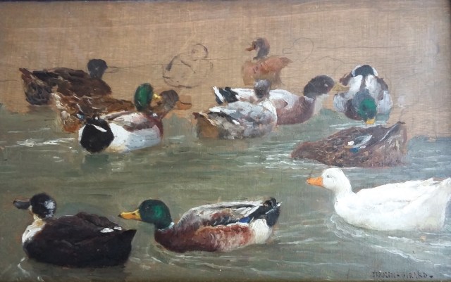 IMG20158712108492759