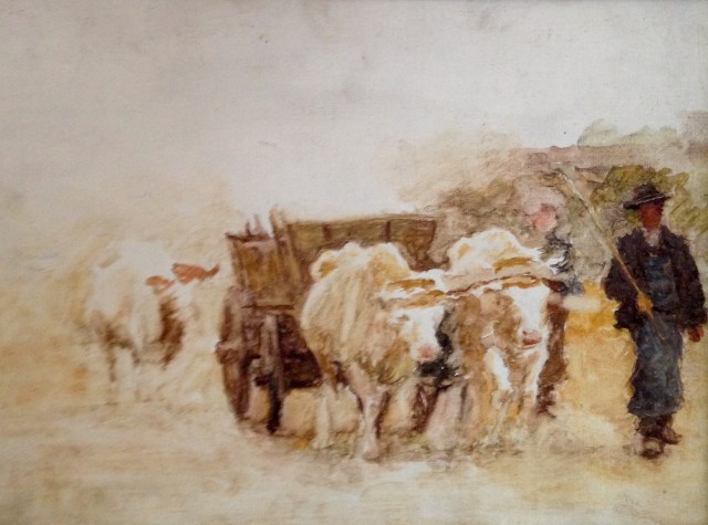 IMG201552610589963458