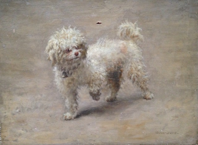 IMG2015831234742639449