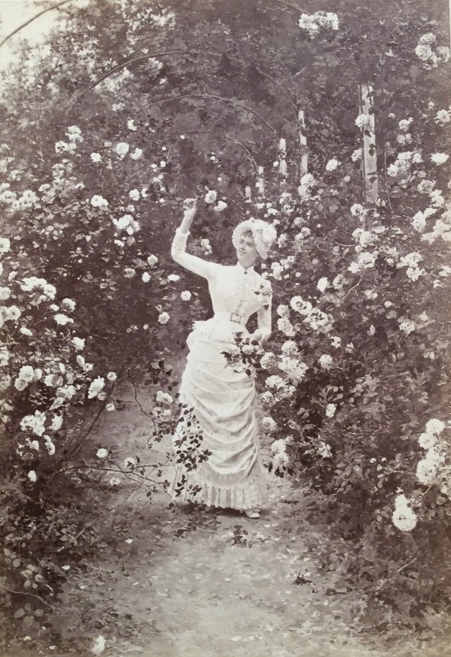 IMG2016120111938929569