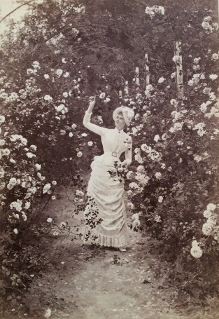 img2016120111938929569