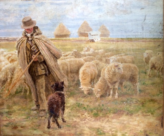 IMG201552823191340354